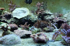 Killikus&reg; Fotographie